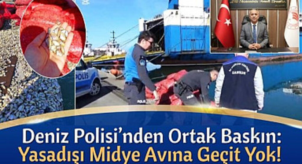 Deniz Polisinden Baskın: Yasadışı Midye Avına Geçit Yok!