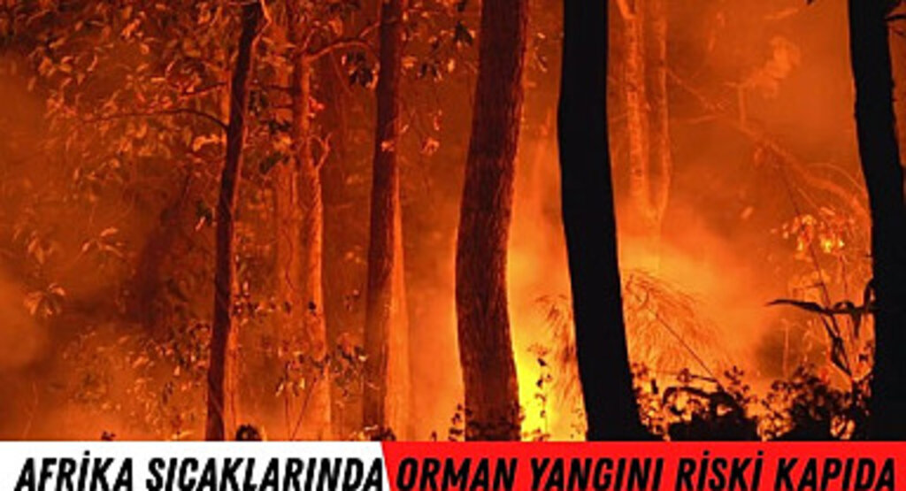 Samsun'da Afrika sıcaklarında orman yangını riski kapıda