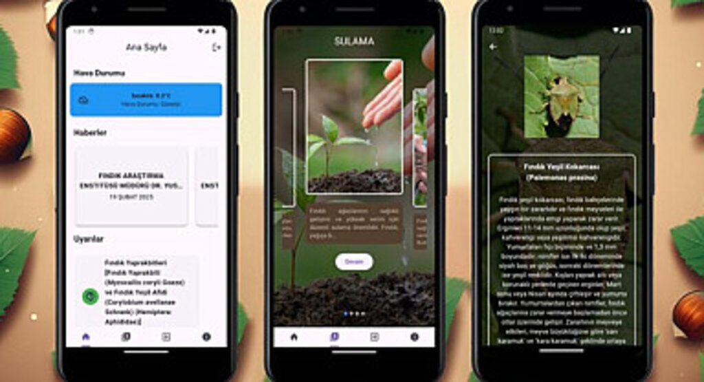 Samsun Üniversitesinden Fındık Üreticilerine Yapay Zekâ Destekli Mobil Uygulama