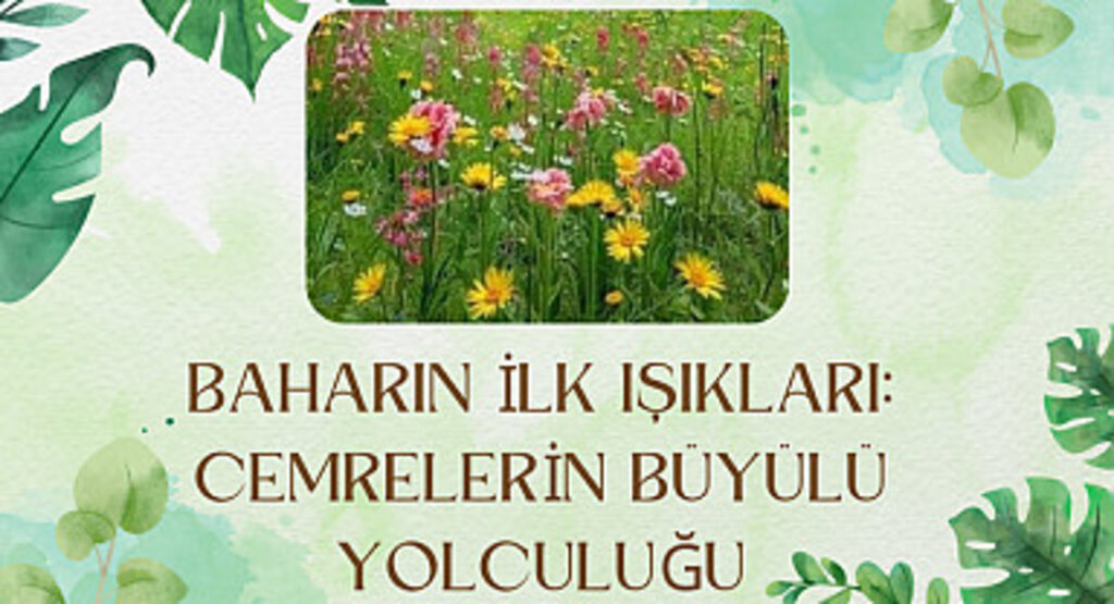 Son Cemre düştü mü? Cemrenin Büyülü Yolculuğu