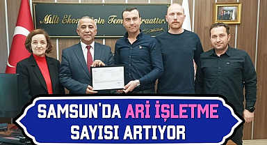 Samsun'da Ari İşletme Sayısı Artıyor