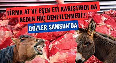 Büyükşehir Belediyesi'ne ve hastaneye at ve eşek eti vermişler!