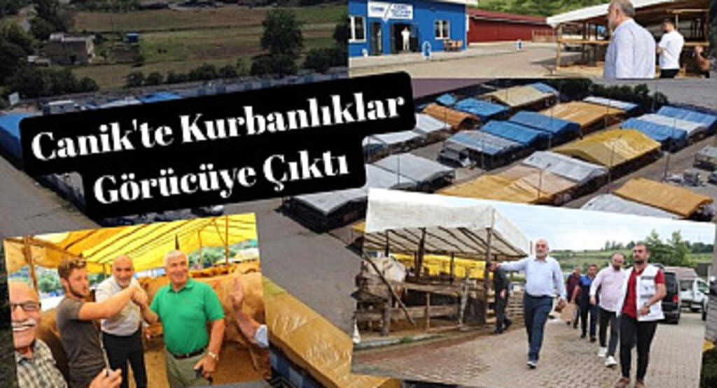 Canik'te Kurbanlıklar Görücüye Çıktı