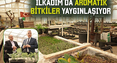 İlkadım'da Aromatik Bitkiler Yaygınlaşıyor