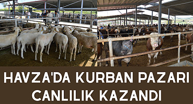 Havza'da kurban pazarı canlılık kazandı