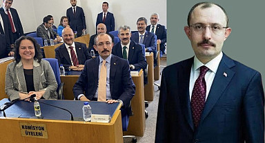 Mehmet Muş yeniden TBMM Plan ve Bütçe Komisyonu Başkanı oldu