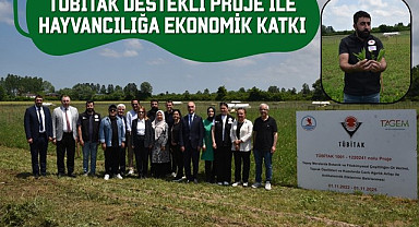 TÜBİTAK Destekli Proje ile Hayvancılığa Ekonomik Katkı
