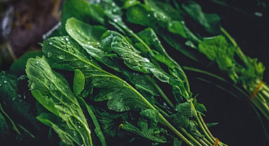 Dondurulmuş Gıdalar Pestisit Tehlikesine Karşı Güvenli mi?