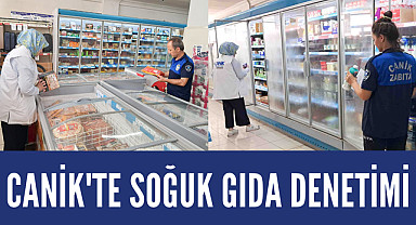 Canik'te Soğuk Gıda Denetimi