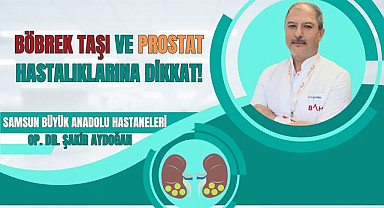 Böbrek Taşı ve Prostat Hastalıklarına Dikkat