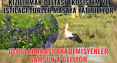 Samsun'da uluslararası işbirliği! İstilacı Türler ve Ekosistem masaya yatırılıyor