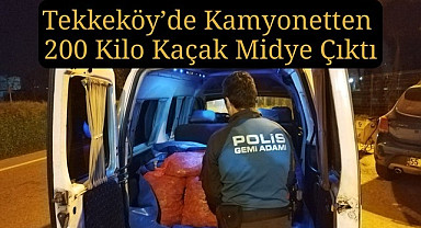 Samsun'da kaçak midye operasyonu... Denize geri bırakıldılar