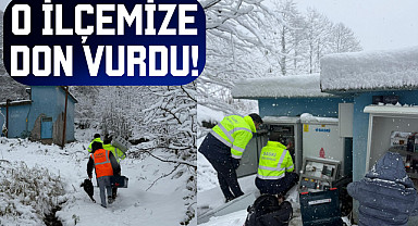 O İlçemize Don vurdu!