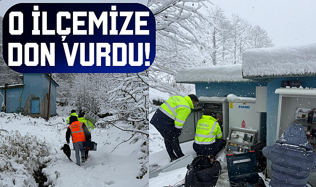 O İlçemize Don vurdu!