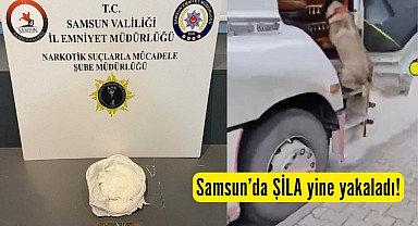 Samsun'da narkotik dedektör köpeği Şila yine yakaladı!