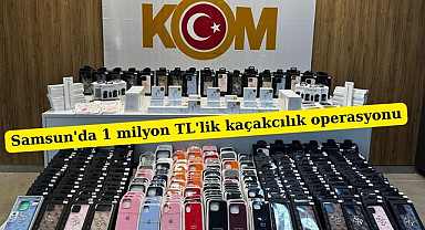 Samsun'da 1 milyon TL'lik kaçakcılık operasyonu