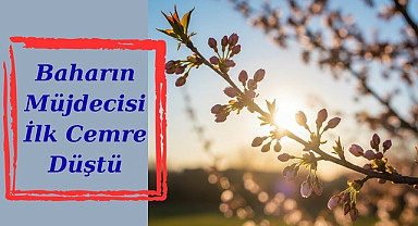 Samsun'da İlk cemre düştü mü, ilk cemre nereye düşecek?