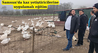 Samsun'da kaz yetiştiricilerine akademik bilgi