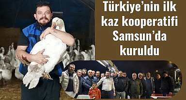 Türkiye'nin ilk Kaz Kooperatifi Samsun'da kuruldu