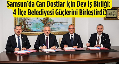 Samsun’da 4 İlçe Belediyesi güçlerini can dostlar için birleştirdi!