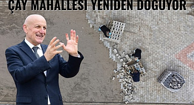 Terme Çay Mahallesi yeniden doğuyor