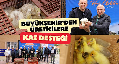 Samsun'da Büyükşehir Belediyesi'nden kaz desteği