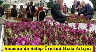 Samsun'da Kavak ve 19 Mayıs’ta Hasat Etkinlikleri Yoğun İlgi Gördü