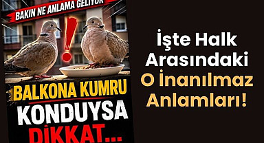 Balkona Kumru Konması Ne Anlama Gelir? İşte Halk Arasındaki O İnanılmaz Anlamları!