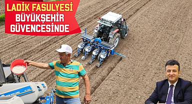 Ladik Fasulyesi Büyükşehir Güvencesinde