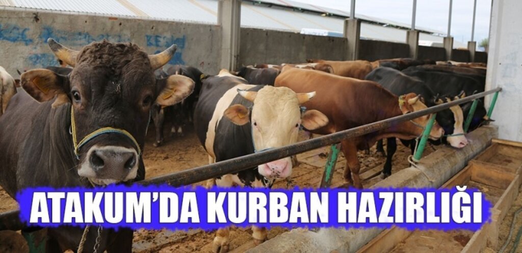 Atakum’da ‘Kurban’ Hazırlığı