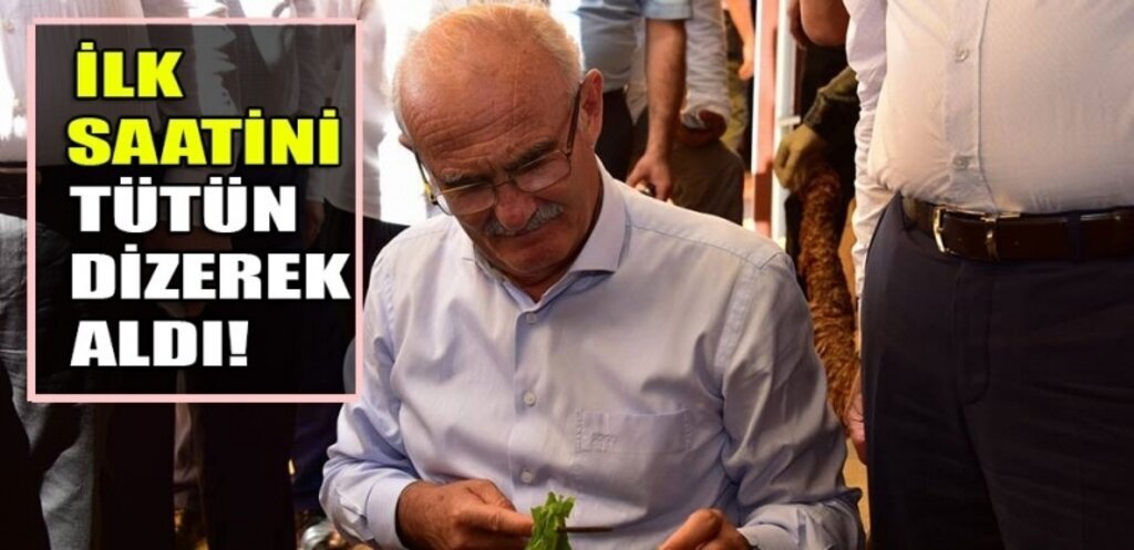 Çocukluk Yıllarındaki Gibi Tütün Dizdi