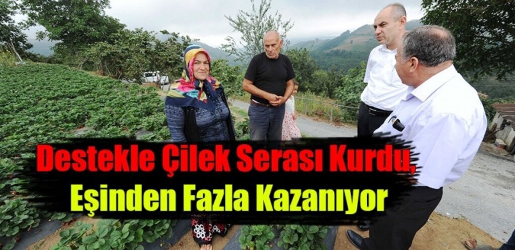 Destekle Çilek Serası Kurdu, Eşinden Fazla Kazanıyor