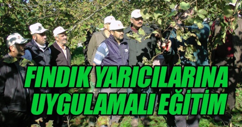 Fındık yarıcılarına bahçede uygulamalı eğitim