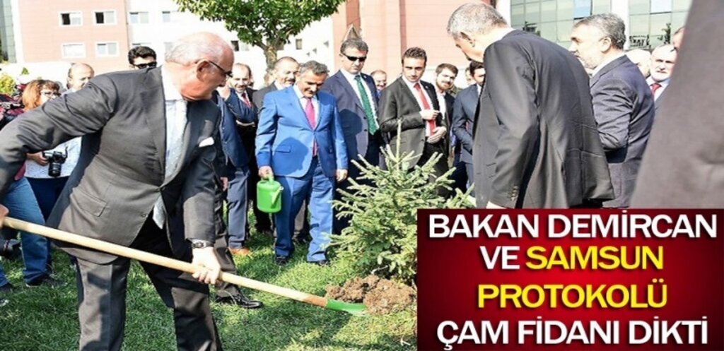 Protokol Çam Fidanı Dikti