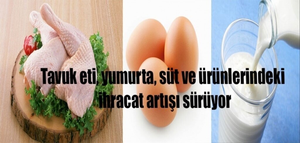 Tavuk eti, yumurta, süt ve ürünlerindeki ihracat artışı sürüyor