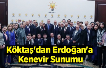 Milletvekili Köktaş'dan Cumhurbaşkanı Erdoğan'a Kenevir Sunumu
