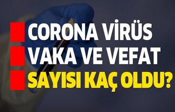 28 Şubat koronavirüs tablosu, bugünkü vaka ve vefat sayıları