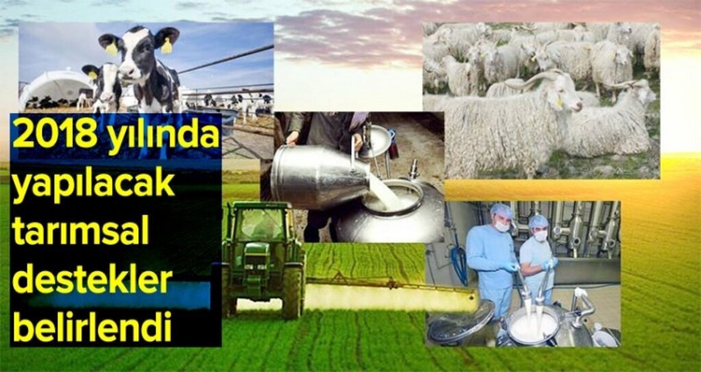 2018 yılında yapılacak tarımsal destekler belirlendi