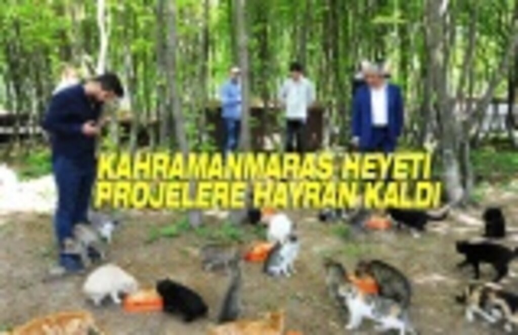Kahramanmaraş Heyeti Büyükşehir Projelerine Hayran Kaldı