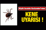 Büyük Anadolu Hastaneleri'nden Kene Uyarısı