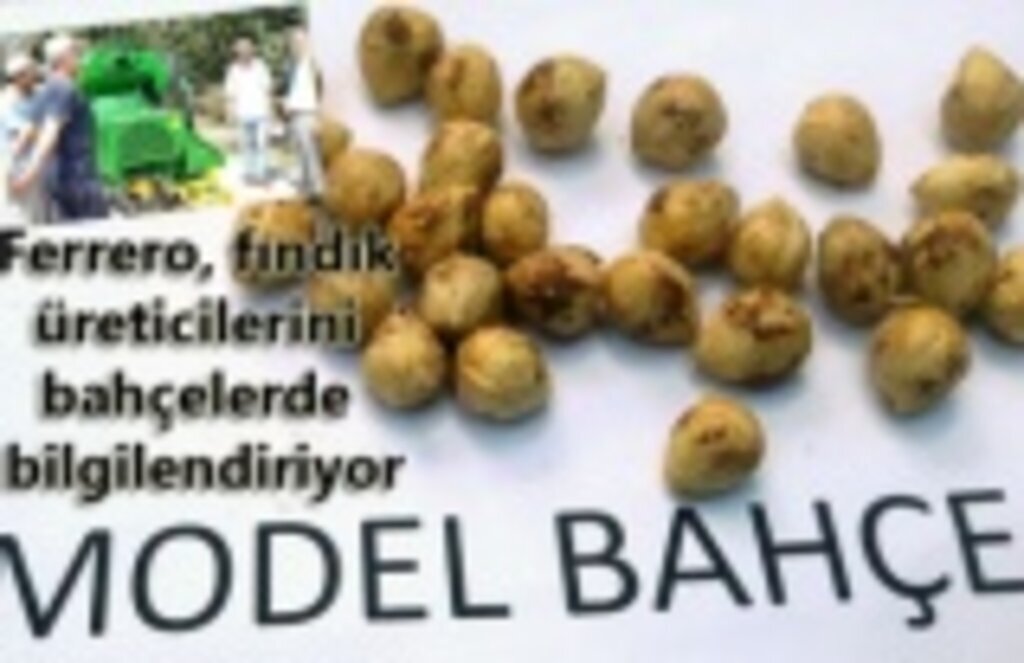 Ferrero, fındık üreticilerini bahçelerde bilgilendiriyor