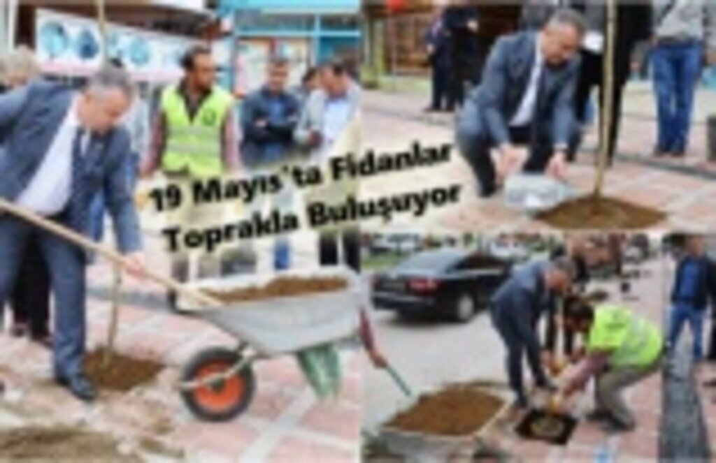 19 Mayıs’ta 400 Fidan Toprakla Buluşacak