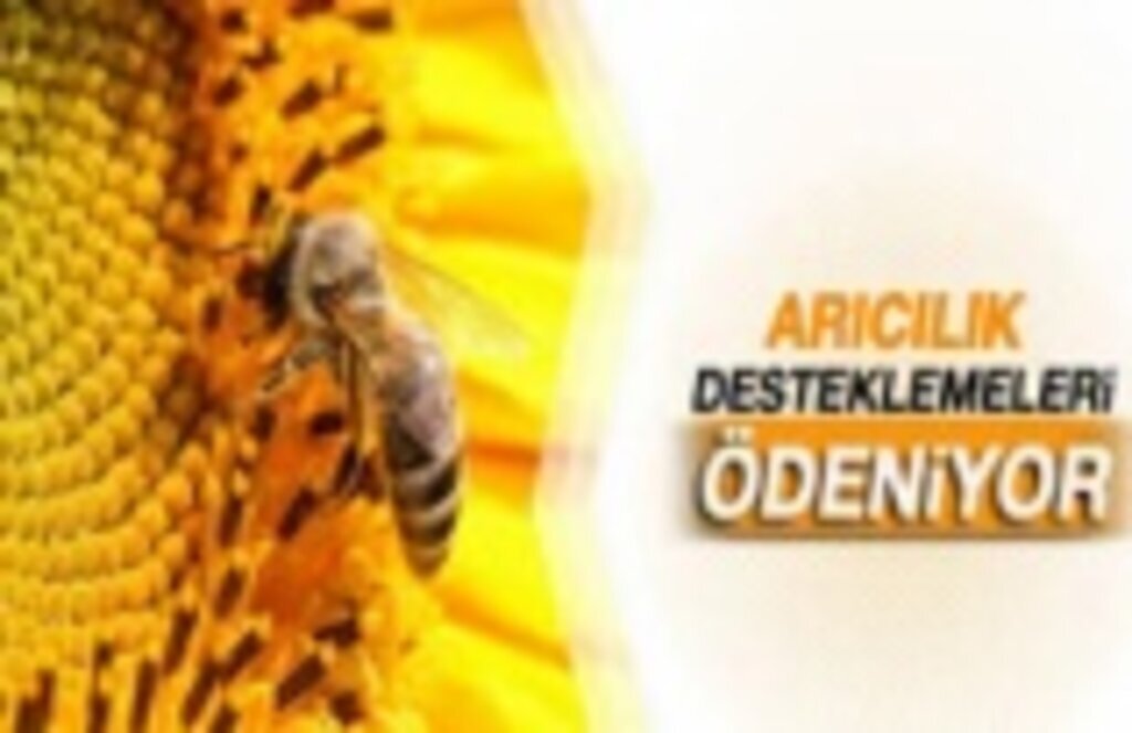 Arıcılara Desteklemeleri Ödeniyor