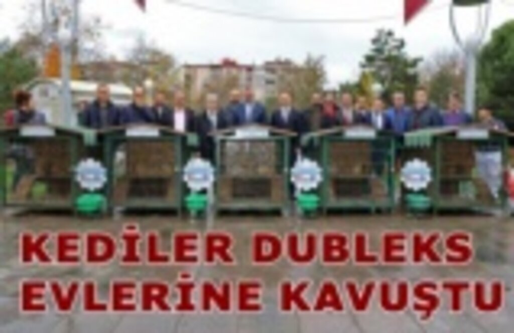 Bafrada kediler sıcak yuvalarına kavuştu