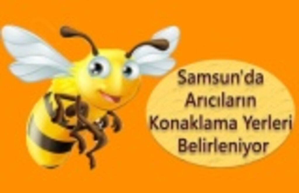 Samsun'da Arıcıların Konaklama Yerleri Belirleniyor