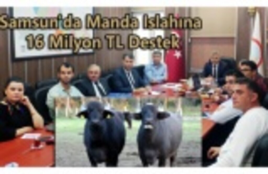 Samsun'da Manda Islahına 16 Milyon TL Destek