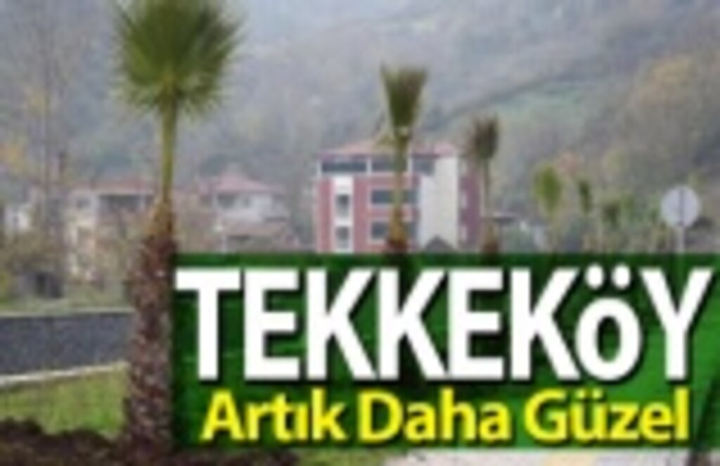 Tekkeköy’de Peyzaj ve Çevre Düzenleme Çalışmaları Devam Ediyor