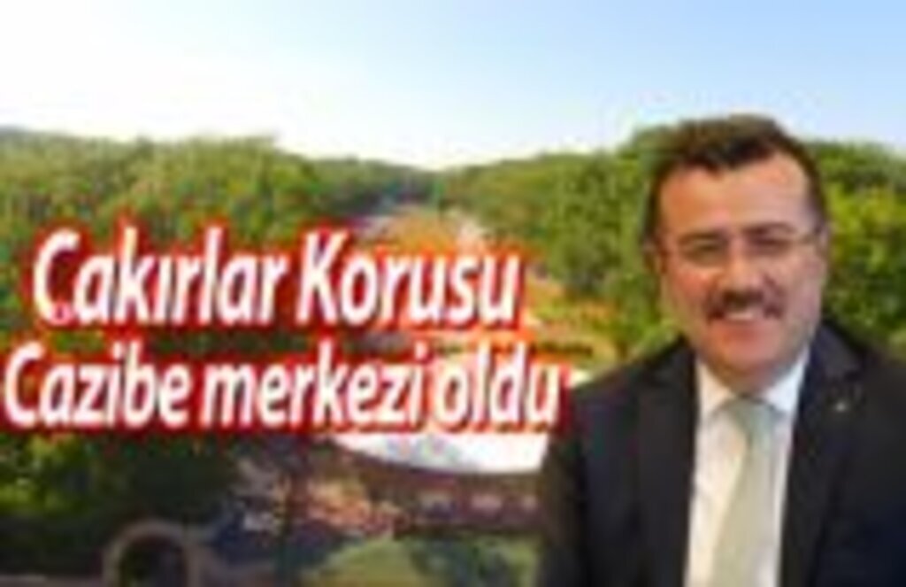 Atakum'da Saklı kalmış güzellikleri ortaya çıkarıyoruz