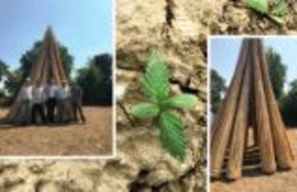 Kenevir Üretimi için gerekli belgeler neler?