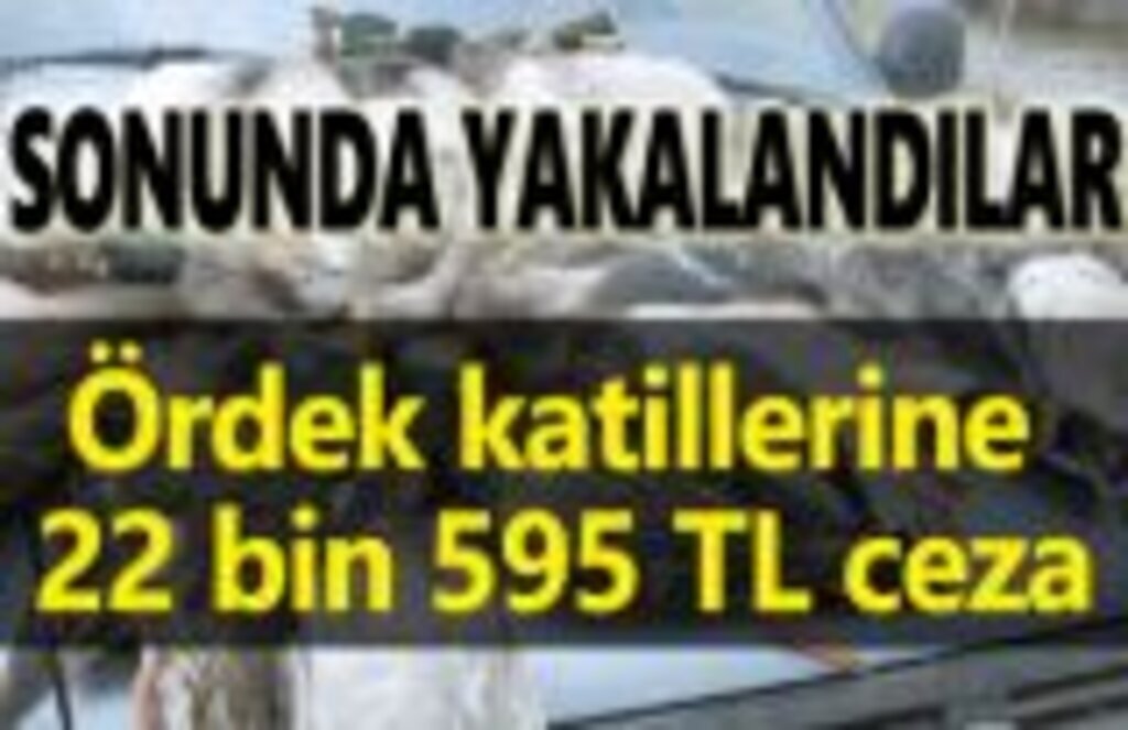 Kızılırmak Deltası'ndaki katliamının cezası 22 bin 595 TL!